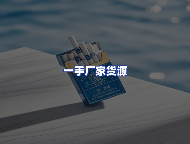 专业团队